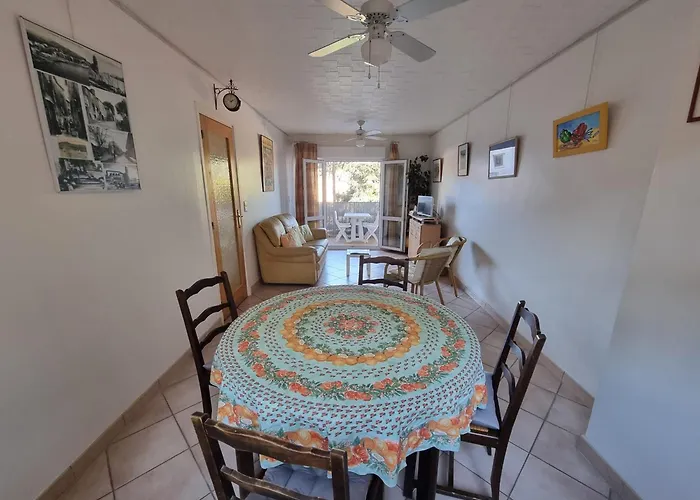 公寓 T3 Calme Avec Terrasse Et Cuisine Equipee, A 300m De La De - Fr-1-309-246